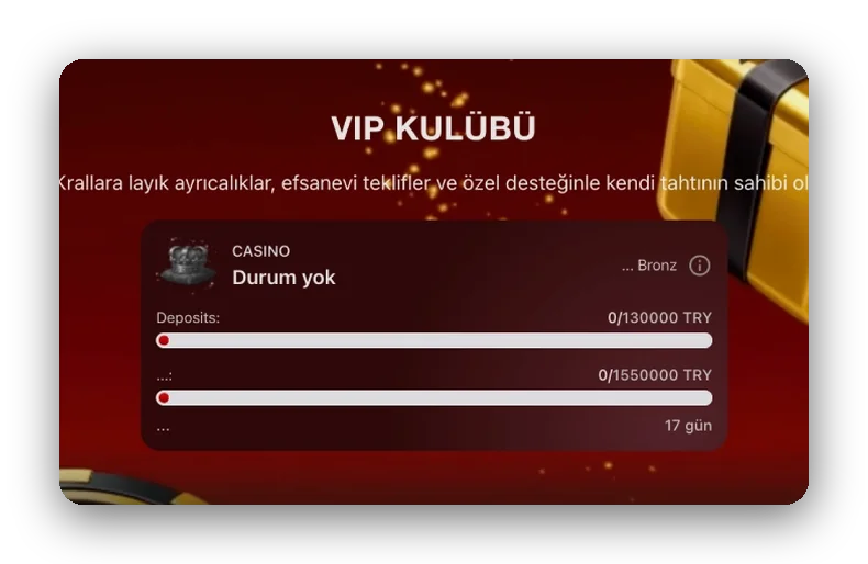 Seviye ilerleme kartı ve yatırım çubuğu olan VIP Kulübü ekranı