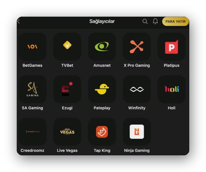 BetGames, Amusnet, Ezugi ve Tap King kutuları olan sağlayıcı ızgarası