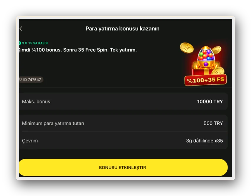 En yüksek bonus, minimum yatırım ve çevrim satırları olan yatırım bonusu kartı